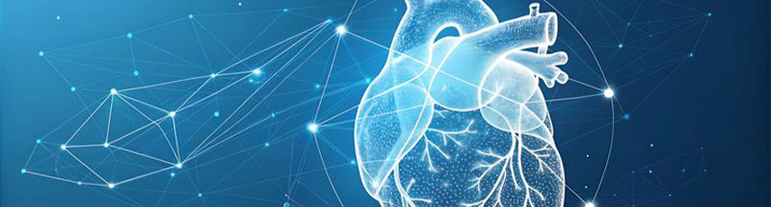 Heart abstract