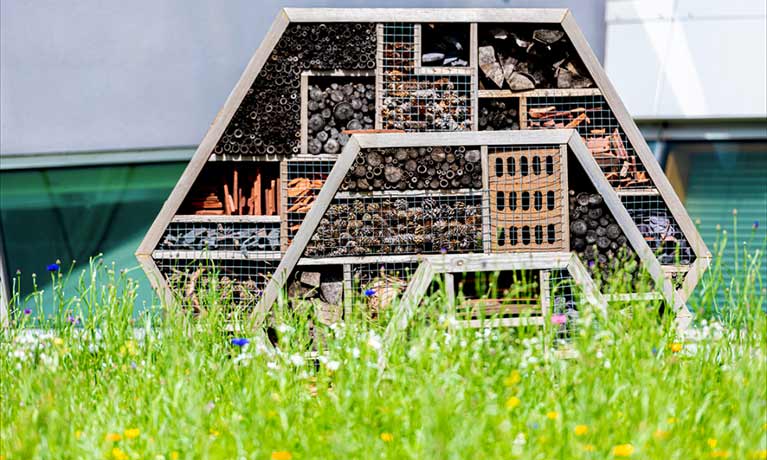 A bee hotel