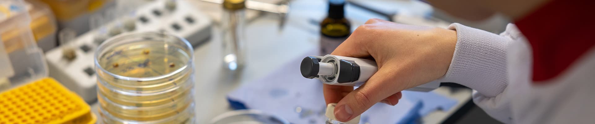 Why I chose Pharmacology and Drug Discovery MSc at Coventry University