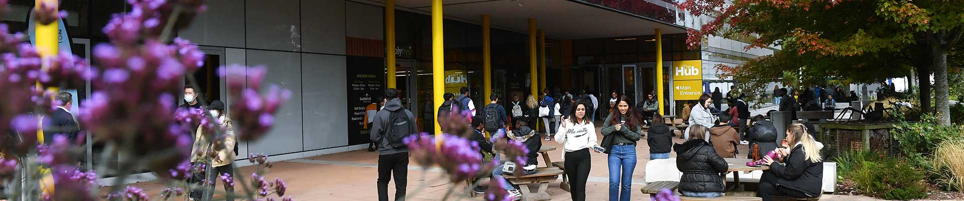 students walking past the hub with a blossom tree in the corner