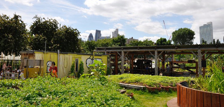 The vegetable garden at Spitalfields City Farm