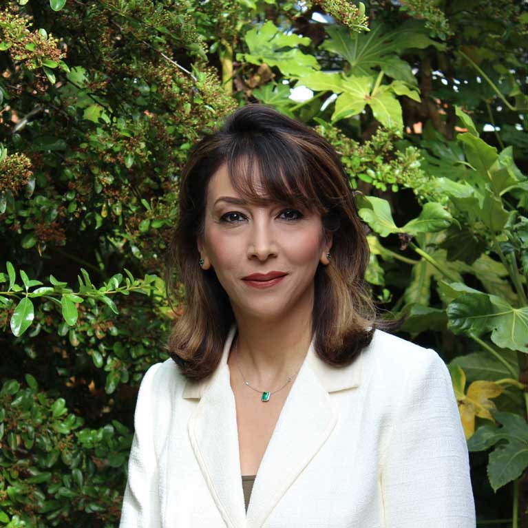 Headshot of Hany Wells