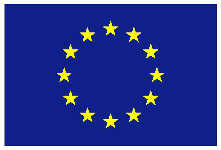European Flag Logo
