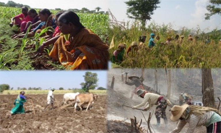 Agroecology