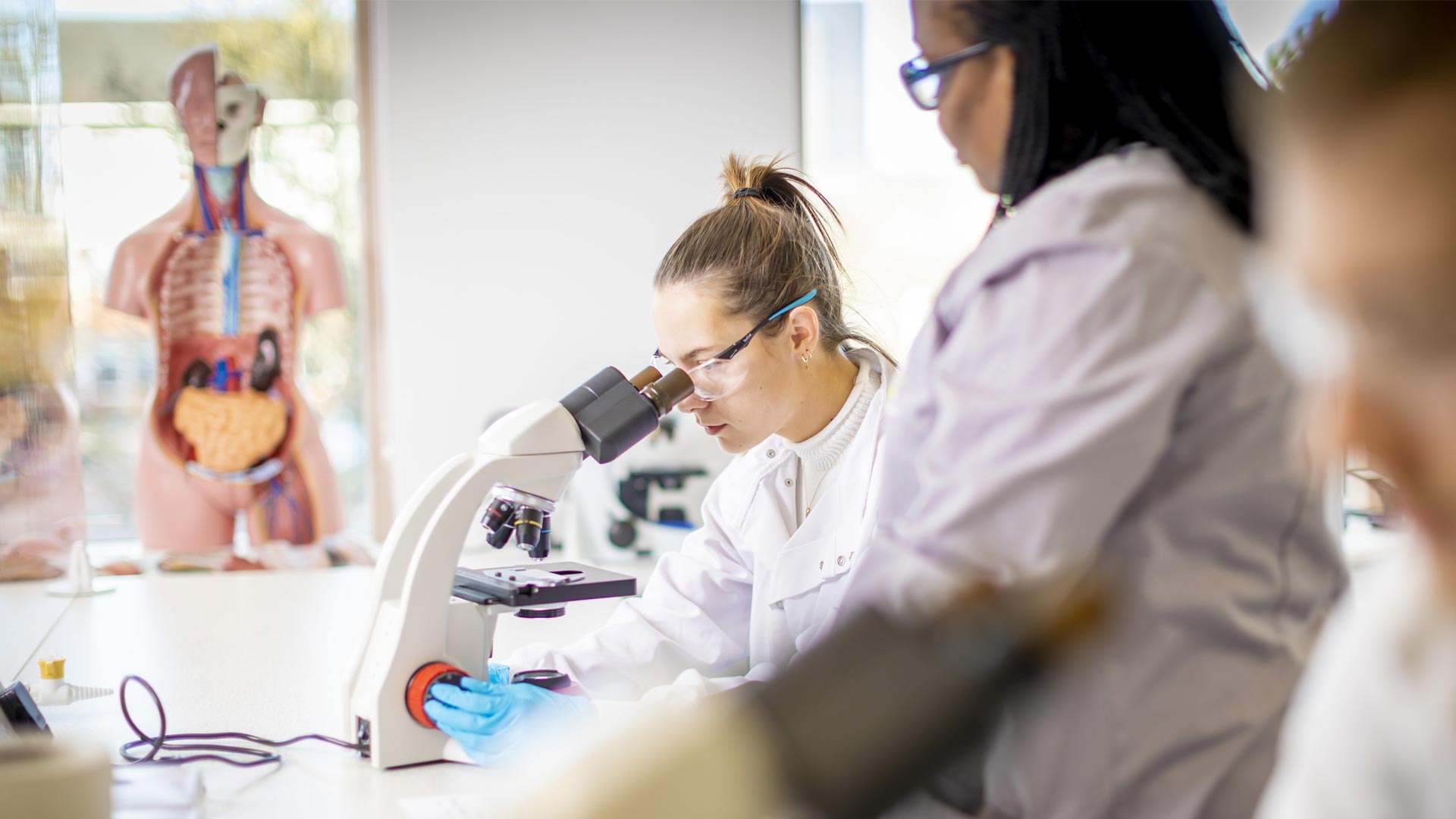 Biosciences students using microscopes in a laboratory.