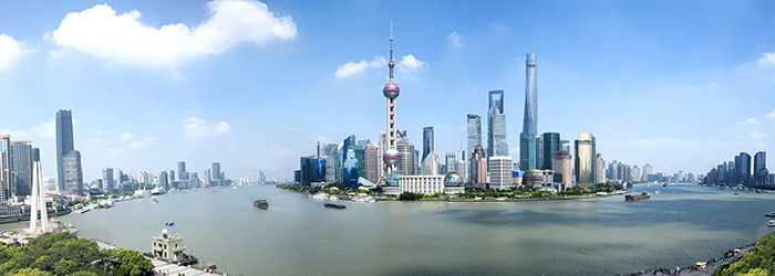 Belt and Road Observatory