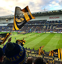 Wasps RFC at Ricoh