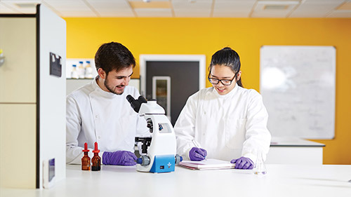 Sciences students using a microscope in a laboratory.