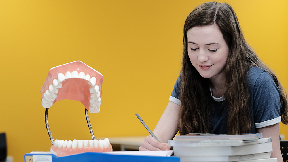 Public Health student working on a human mouth model
