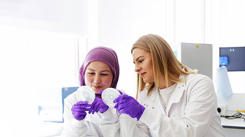 Applied Biosciences students in a laboratory, looking at samples