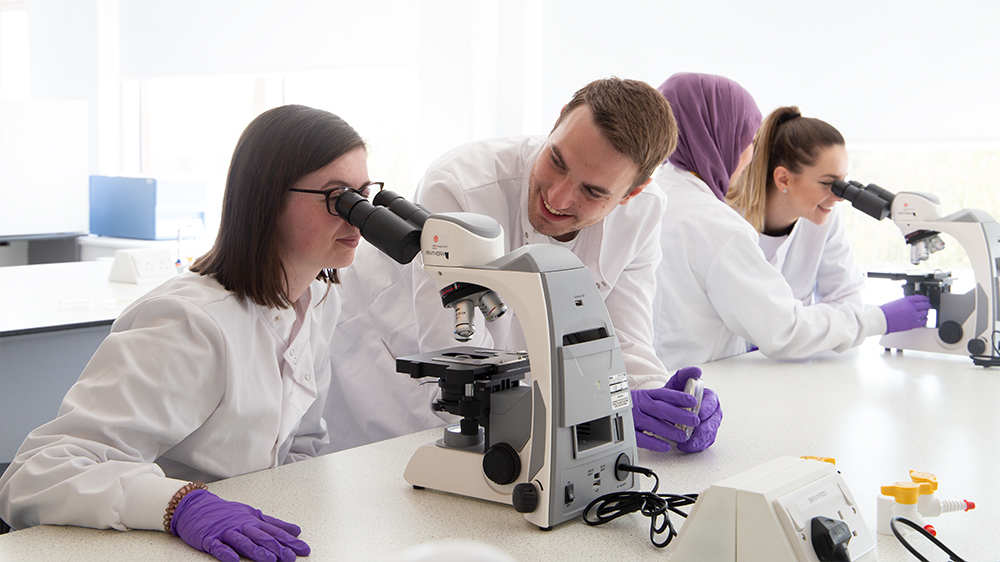 Students in the biosciences lab using microscopes