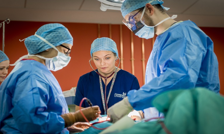Blended Nurse degree