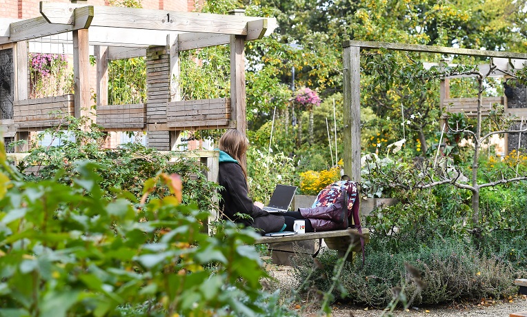 A female student sitting on a bench surrounded by plants and vegetables in Coventry University's edible garden