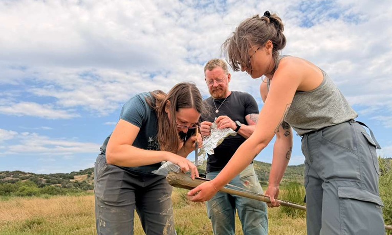 Dr Michelle Farrell and two colleagues examining at item in a field