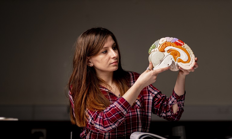 Lady holding a brain section model