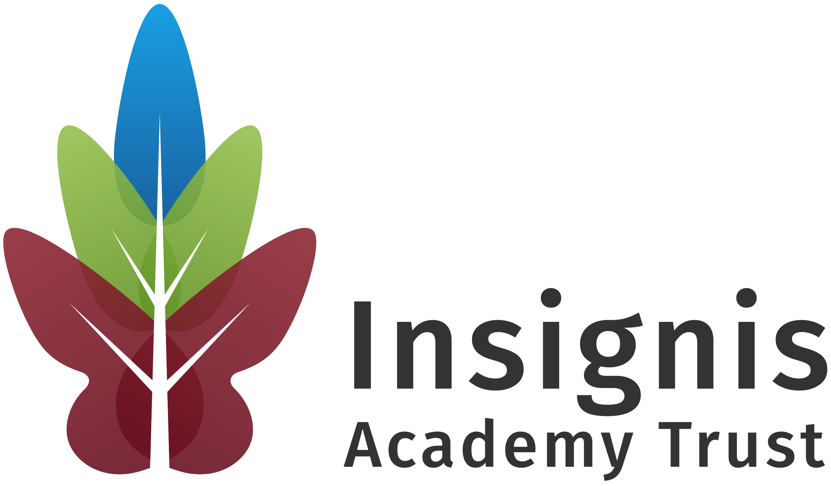 Insignis logo