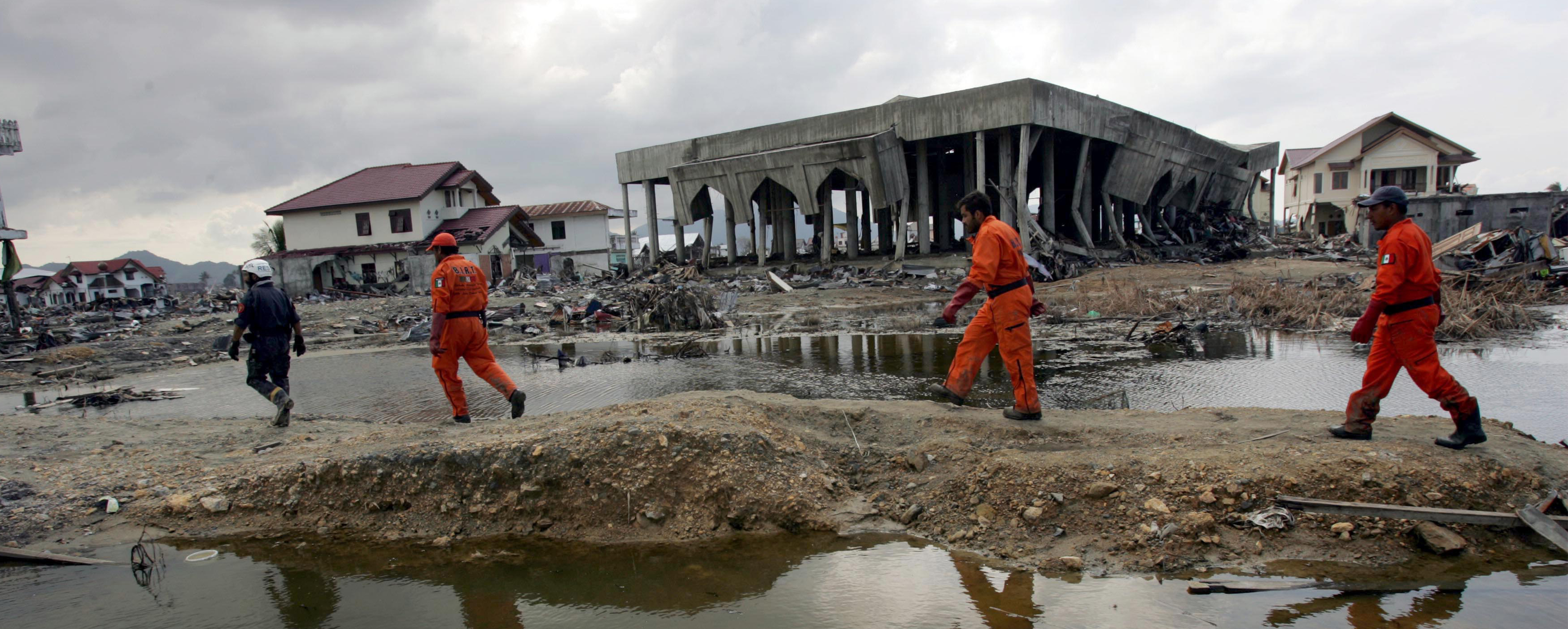 Disaster Management and Resilience MSc