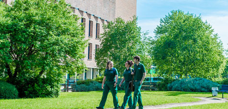 Alison Gingell Building